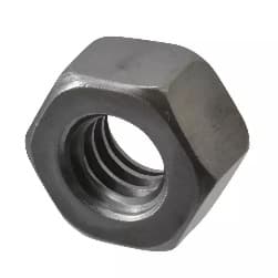 Nut